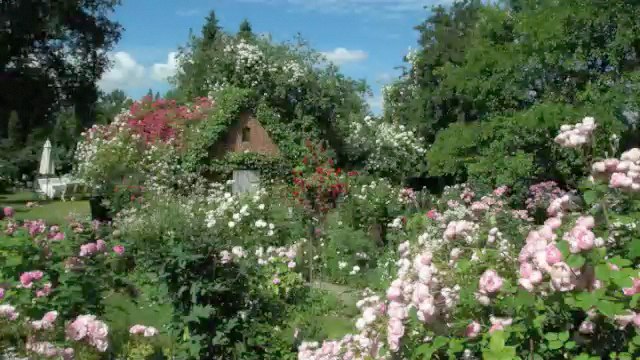 Unser Garten Im Fernsehen